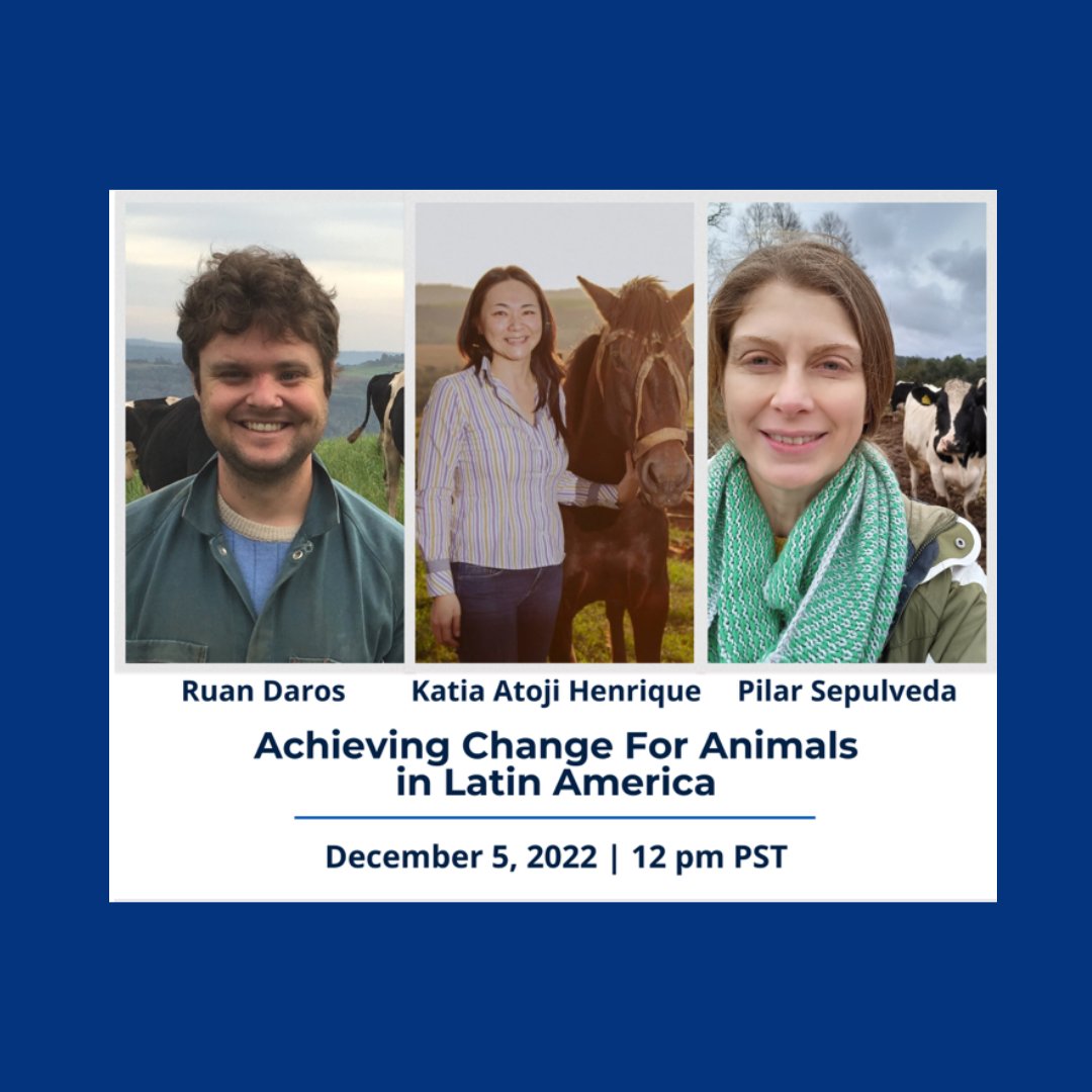 To celebrate #ubcAWP25 we are hosting a monthly webinar series which will host panelists who are alumni of the AWP. Tune in December 5th for our fourth webinar. To find out more: lnkd.in/gVPb8hc4.