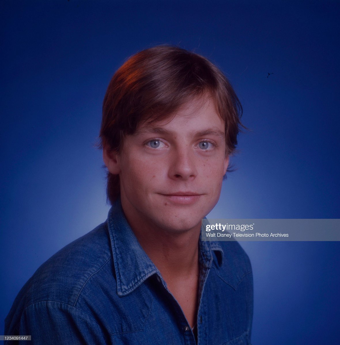 #TheDailyHamill 1895: #TreasureTuesday daily @MarkHamill. ❤️❤️🐹❤️❤️