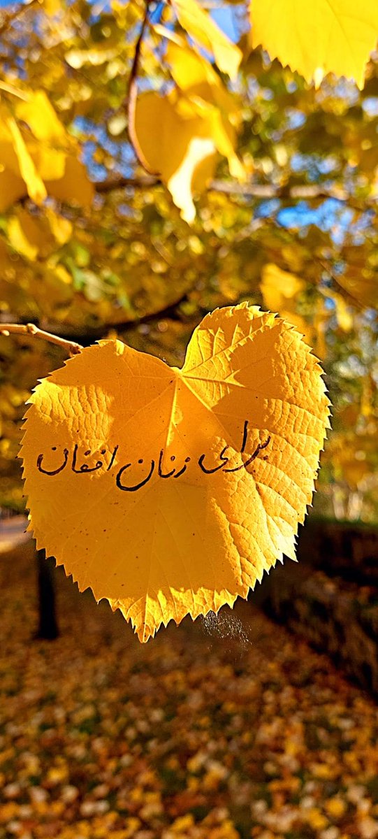 sanam22222's tweet photo. برای دختران دانش آموز..
زن. زنده گی .آذادی.. https://t.co/IXAWCIzLbq