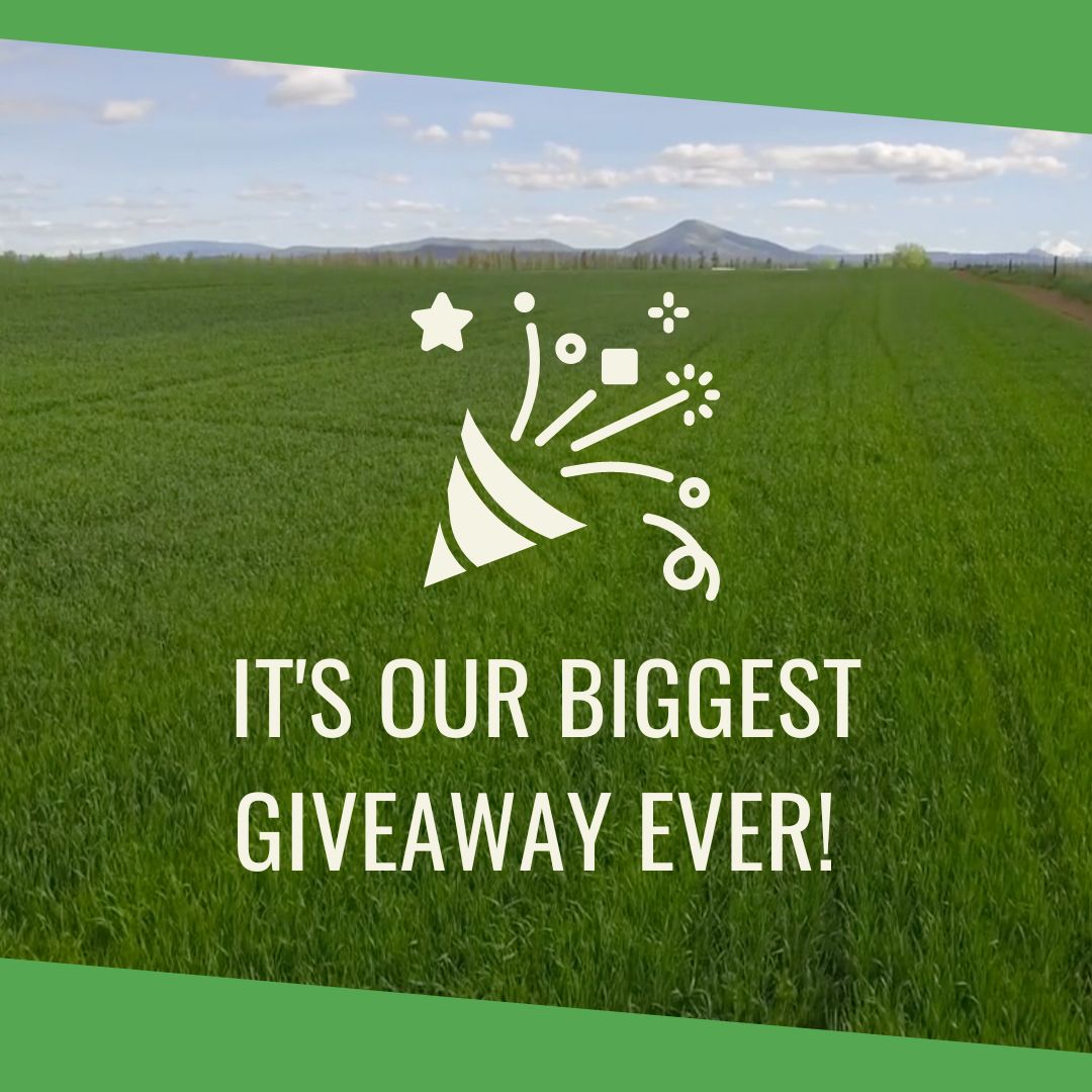 RabbitHoleHay's tweet photo. We are having our BIGGEST GIVEAWAY ever! π There will be 10 winners. Prizes are from a variety of our favorite small pet businesses. Enter by Dec. 1st, 11:59PM PST. Winners will be drawn and announced Friday, Dec.2nd, 2022. https://t.co/VEmv9iR9Cp #10YearsofRabbitHoleHay https://t.co/AeqbiZ6beK