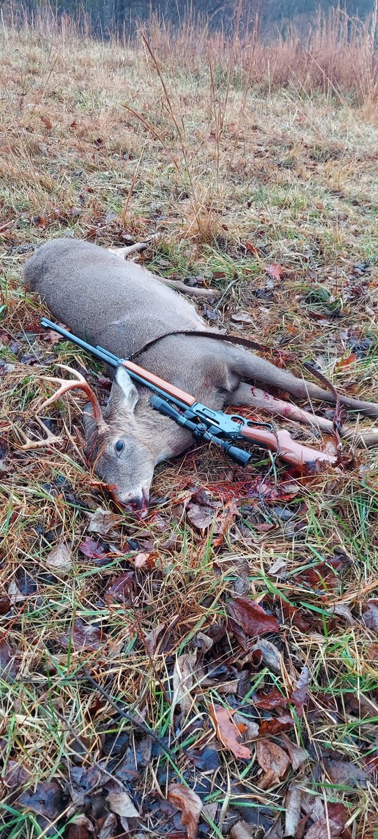 Buckeyehunter1 tweet media