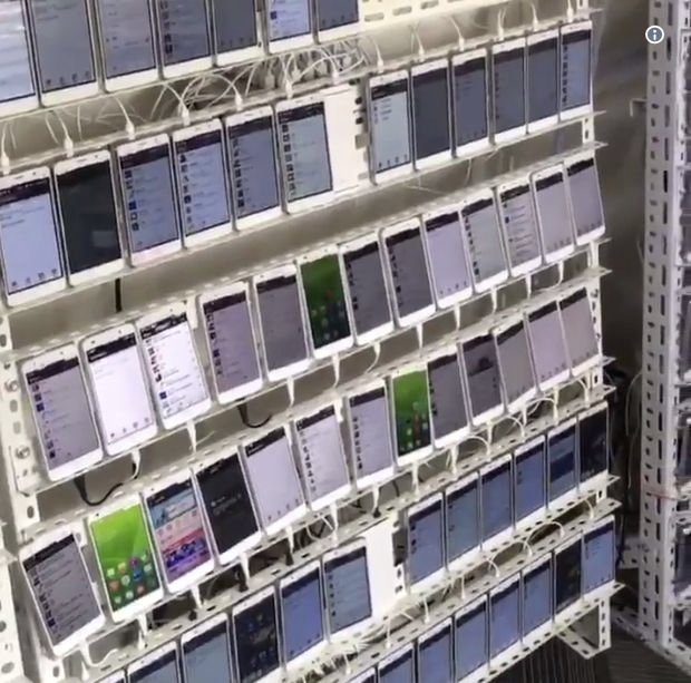 Suzan🇺🇸🦅 tweet media