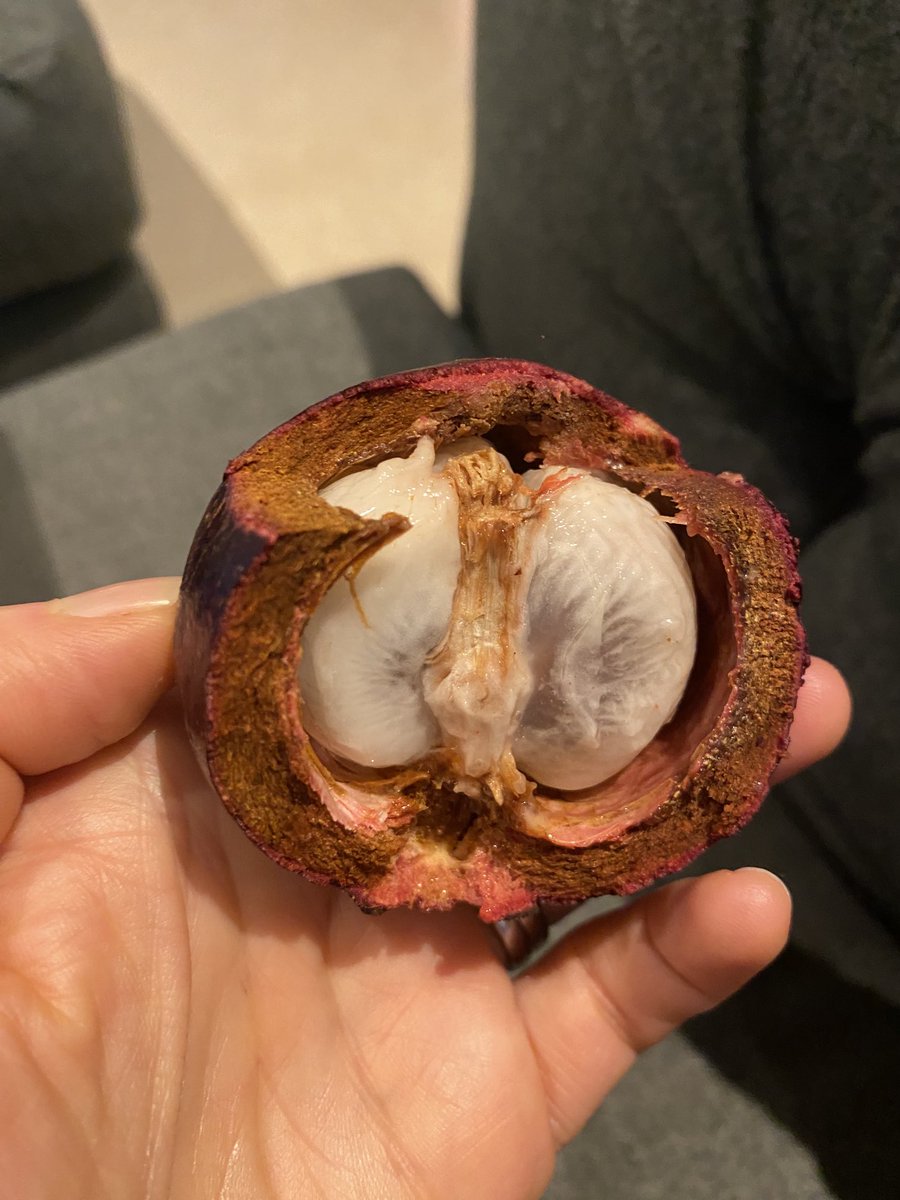 What in god’s name is this fruit?