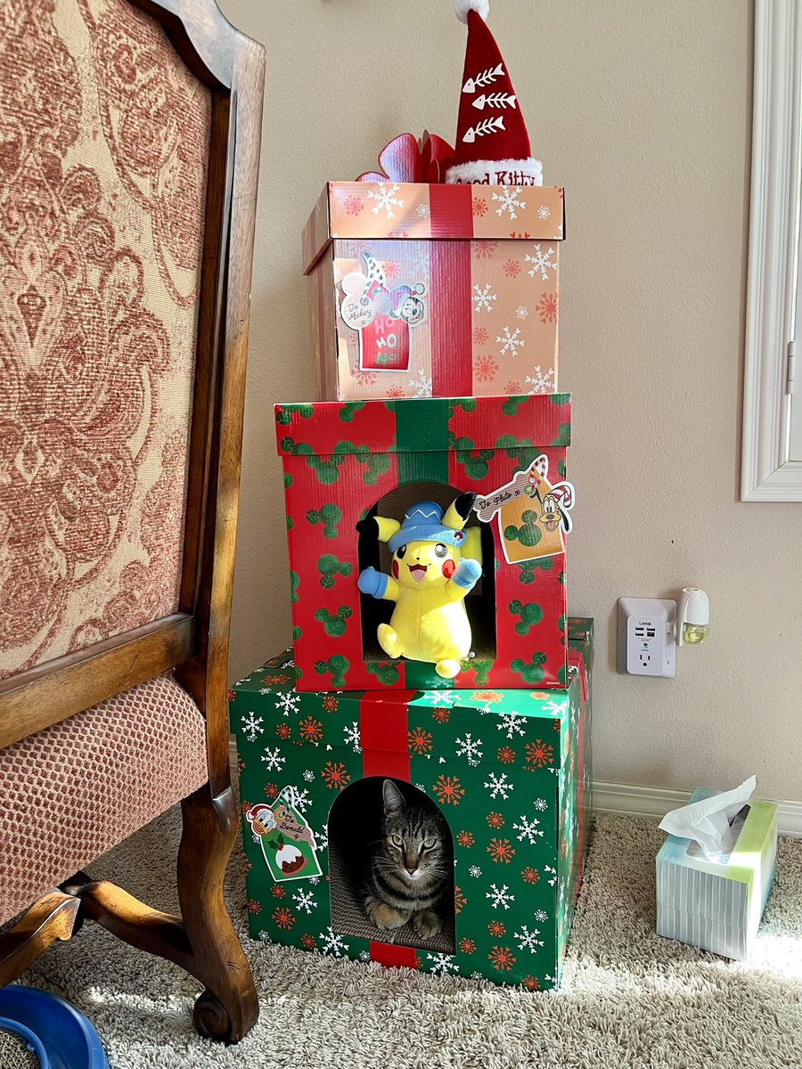 NicoleBdorf's tweet photo. Lexy cat is already in the holiday mood โ๏ธ๐๐ป #HolidayKitty #MeowyXmas #Pikachu #DisneyCat #Spoiled https://t.co/uNmbpVa9lv