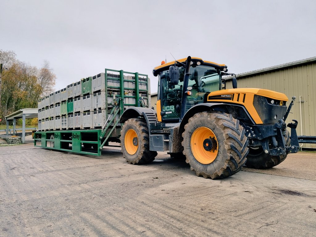 Dan Hawes tweet media