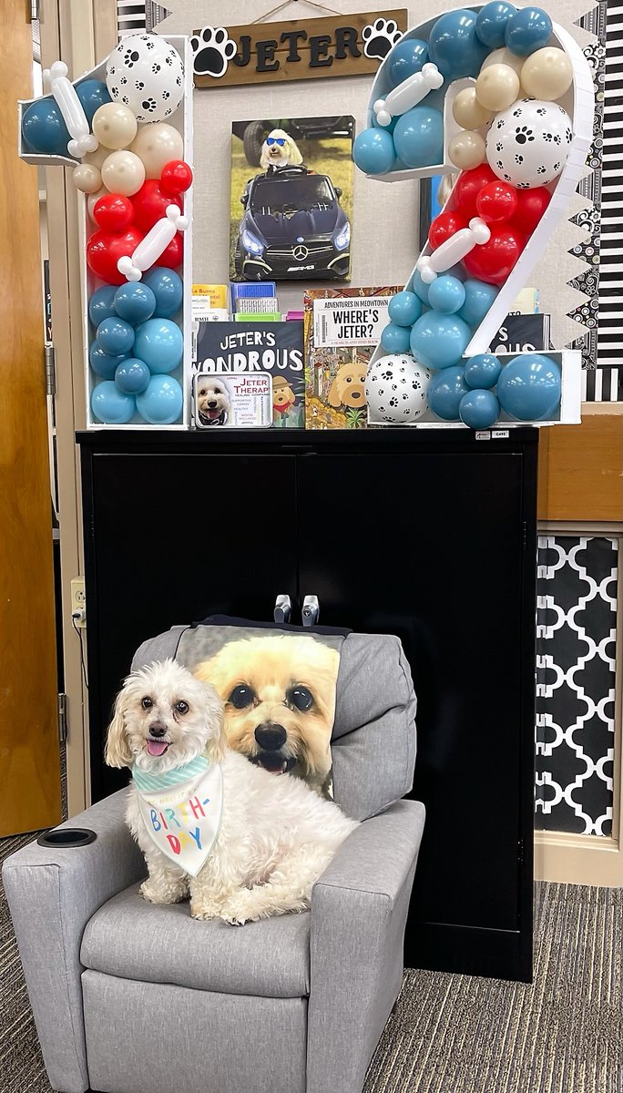 Happy 12th birthday to Jeter, our beloved original therapy dog who brings happiness and comfort to all! We love you!
#jeterthetherapydog #susdtherapydogs #scoutthetherapydog #selmabears #dogsoftwitter #therapydogs