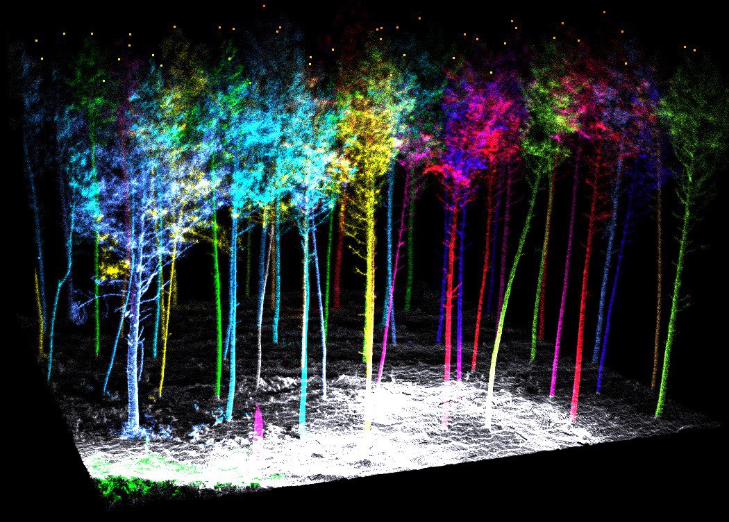 geforestesp's tweet photo. #inventario #LIDAR en las parcelas de #MotorVerde con @GrupoSylvestris y @FundacionRepsol #innovacion #desarrollosostenible #gestionambiental #emprendimiento #forestal #forest #gestionforesta #pinuspinaster #inventarioforestal #forest #management #innovation #digitalizacion https://t.co/Y0KGMRT0Yj