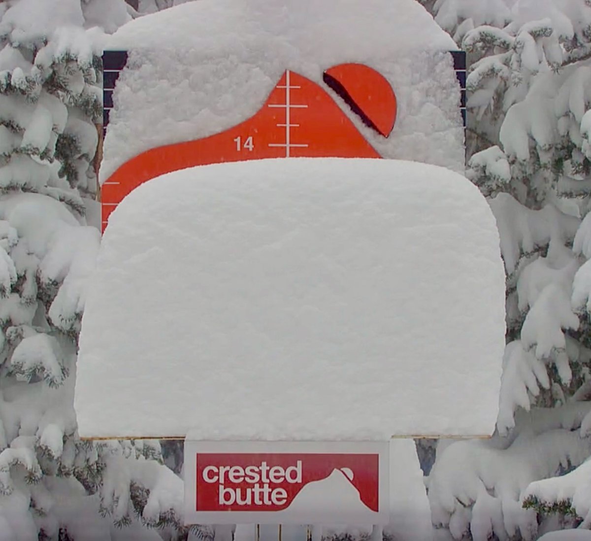 It's a POWDER DAY!! 
❄️❄️❄️❄️❄️❄️❄️

#skicrestedbutte #crestedbuttecolorado #skicb #visitgcb #powderday