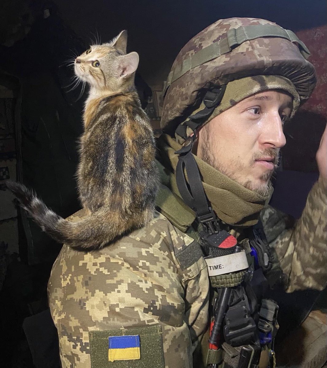UAarmy_animals's tweet photo. Best place)

#Ukraine️ #RussiaisATerroistState #RussiaUkraineWar #CatsOfTwitter #CatsOnTwitter #Bakhmut #armedForces #Nikopol 
 #NewYork #Zaporizhzia #Kyiv #ukrainecounteroffensive
#KhersonisUkraine #Biden https://t.co/Ab1VzCpWw3