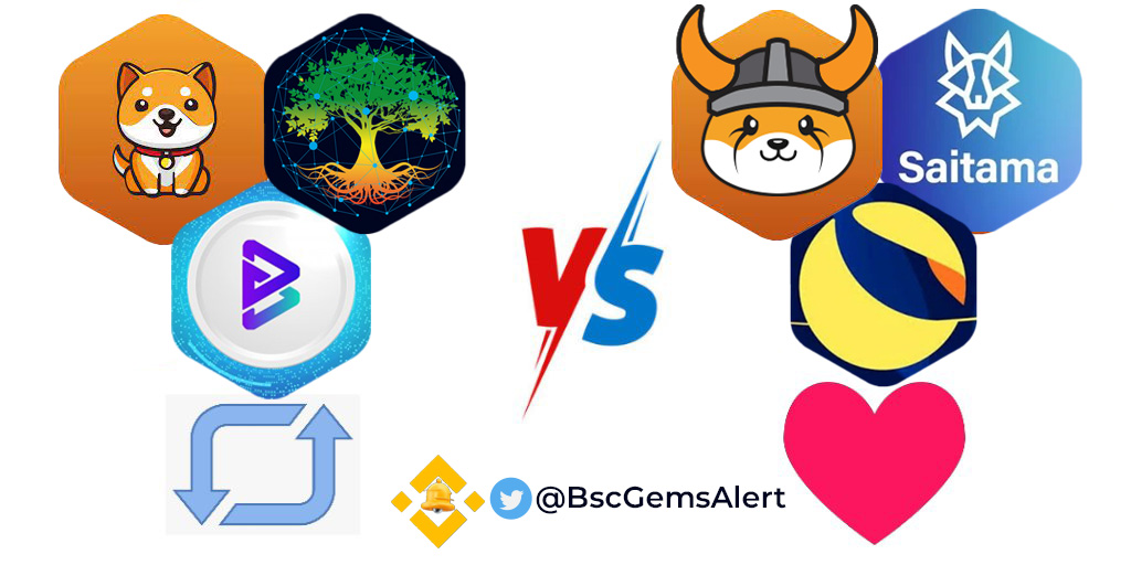 🚨BSC Gems Alert🚨 tweet media