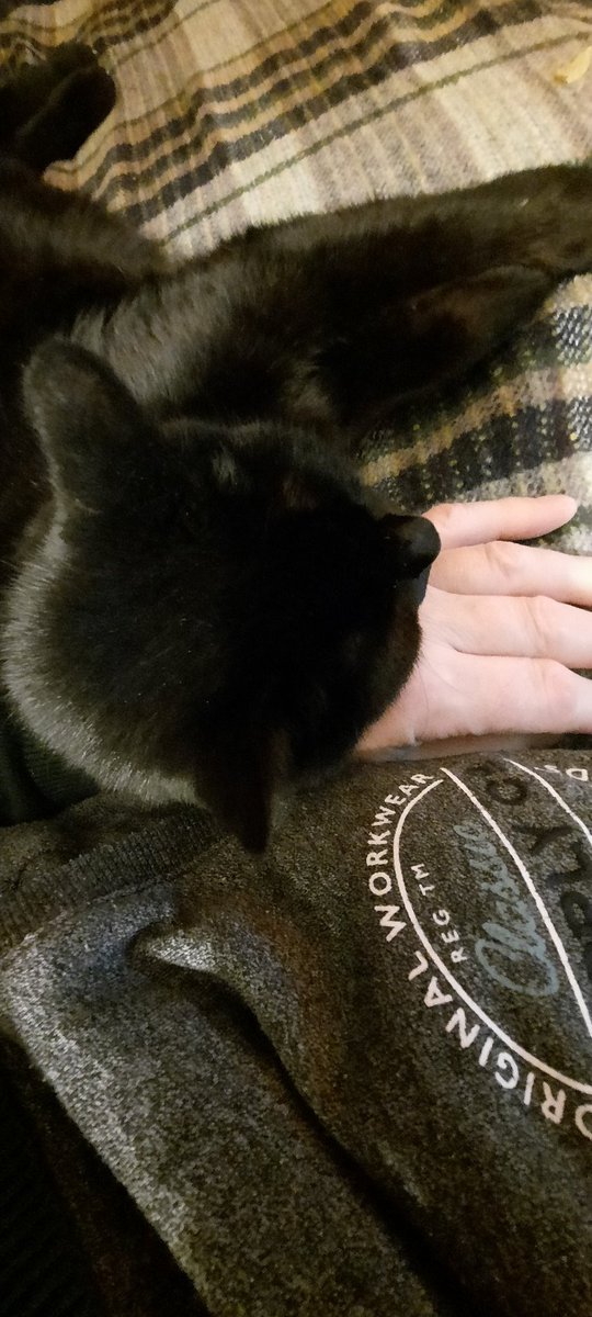 Watching the football