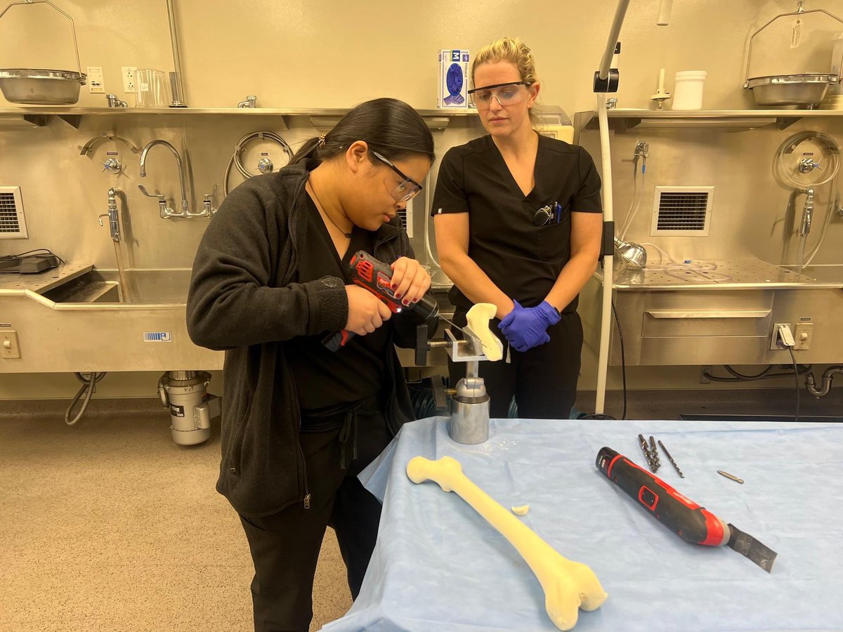 jillianhackney's tweet photo. Thank you @PerryInitiative and @UAMSOrtho! I was able to practice fixing femoral fractures, learn about life as an Ortho resident, &amp; network with female leaders in the field. Highly recommend finding a Perry Initiative event near you!! 

#MedTwitter #meded #OrthoTwitter #LadyPod https://t.co/VoH31iWQUi