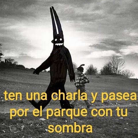 conoloracigarro tweet picture