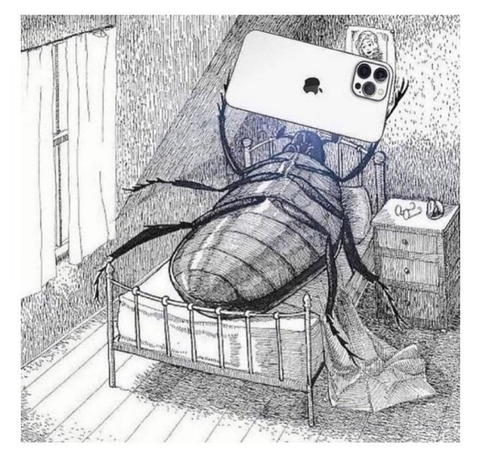 BlacksWolfPup's tweet image. 