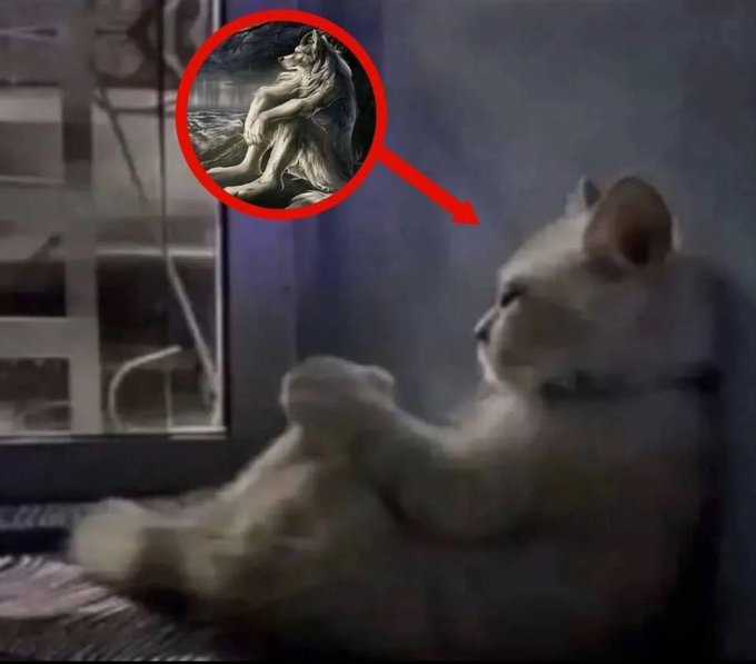 letystuds's tweet image. meu pior hábito é a procrastinação