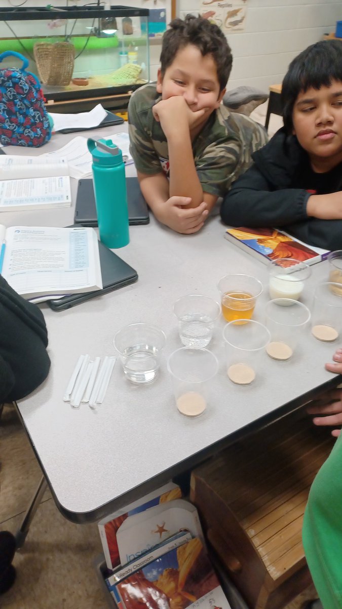 Today we observed cellular respiration by feeding yeast different liquids containing different amounts of sugar. <a href="/LindberghSchool/">Lindbergh Elementary</a>