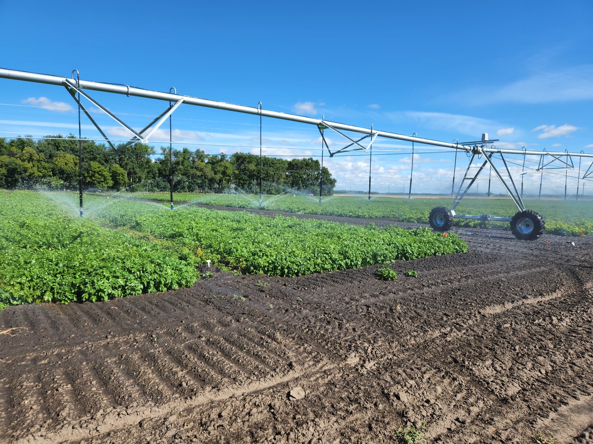 UM Ag&Food Sciences tweet media