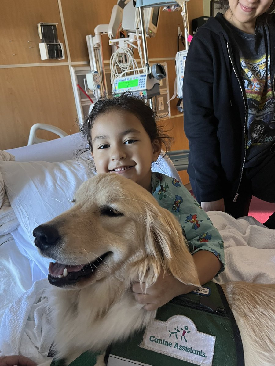 JaidenPhilp's tweet photo. This is my five year old niece, Mia Grace Garcia. Mia was recently diagnosed with Leukemia. In this link, you will find out more about Mia and her diagnosis. Please keep Mia in your thoughts and prayers &amp; retweet as much as possible. #MiasMission 🧡
https://t.co/BIvyrajfOg https://t.co/JhlTROT5wb