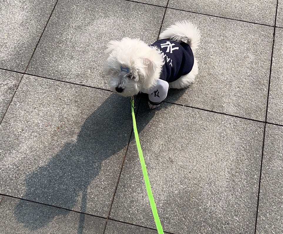 How did the experts from all walks of life come about?