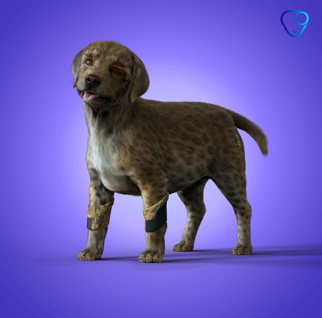 DisguisedPhoenix (BO) tweet media