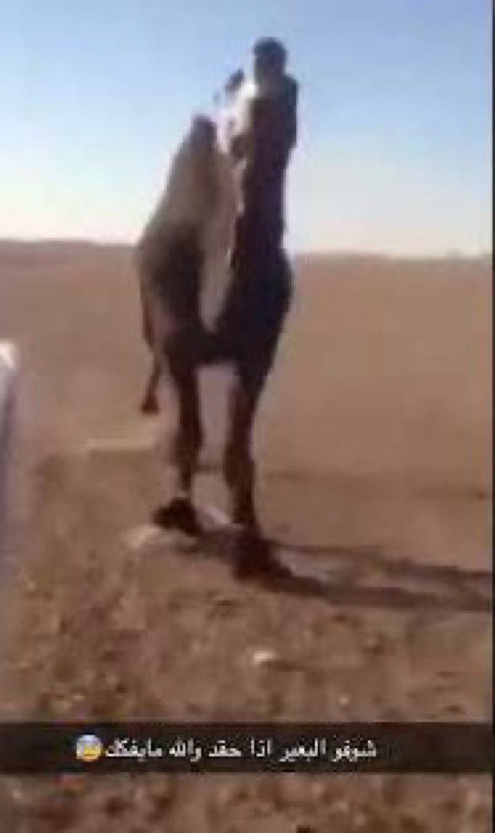 whrumor's tweet photo. الجمهور الغاني يتوعد سواريز بالانتقام في مباراتهم القادمة، بسبب تصديه للكرة بيده في 2010 https://t.co/lecHr3wOJA