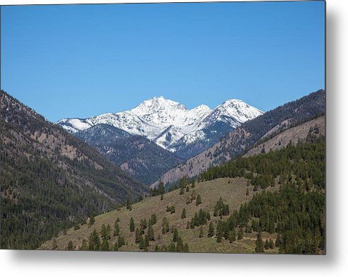 OmasteWitkowski's tweet photo. Thank you to the art collector who purchased this beautiful print!

I would love to send you a special surprise, please message me directly and I will get right back to you!

https://t.co/MToye0dY01
#contemporaryart #contemporaryartist #artcollector #buyintoart #mountains #methow https://t.co/zxS2hQa4ns