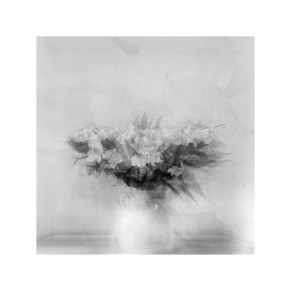 I was asked to be a guest judge for #sharemondays2022 this week, standing in for <a href="/gsolomonphoto/">Garry Solomon Photography</a> who is much busier with his camera than I am! 

Here are my top 4… <a href="/lawsmithphoto/">Lawrence Smith</a> <a href="/drjonrees/">Jon Rees</a> <a href="/ShutrRelease/">Dylan Nardini</a> @pixltw