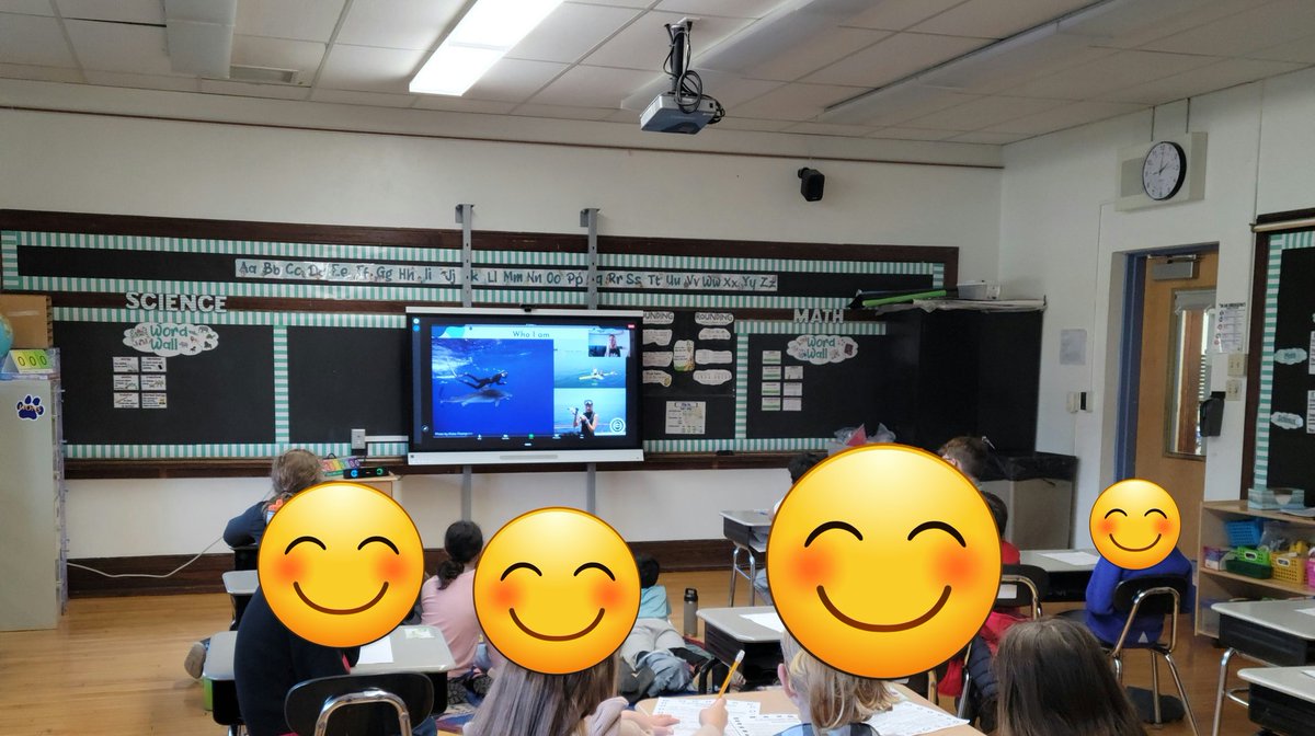 Laura LoPiccolo tweet media