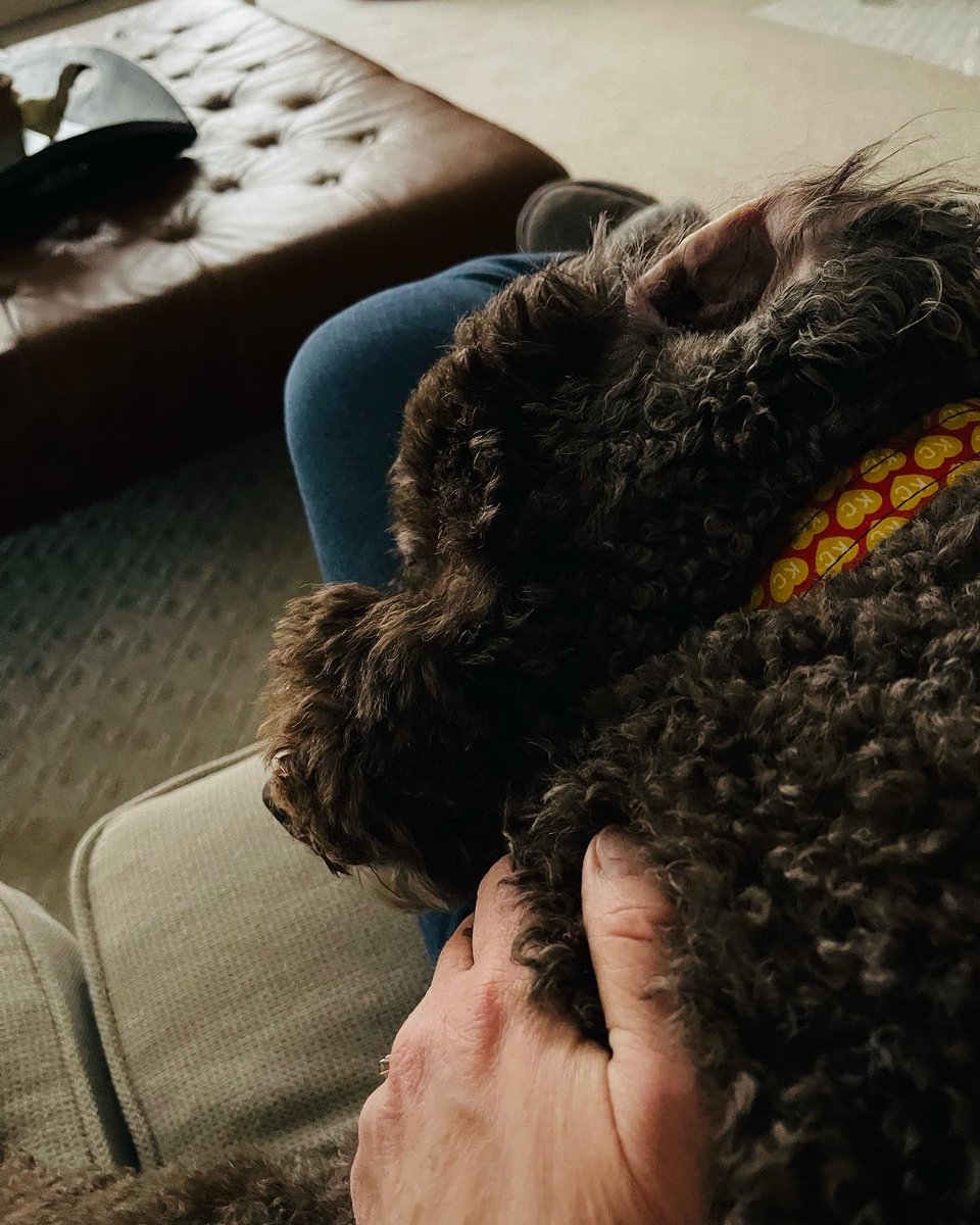 dawn tush tweet media