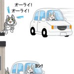現場猫が犠牲に!車を誘導するときは気を付けよう!