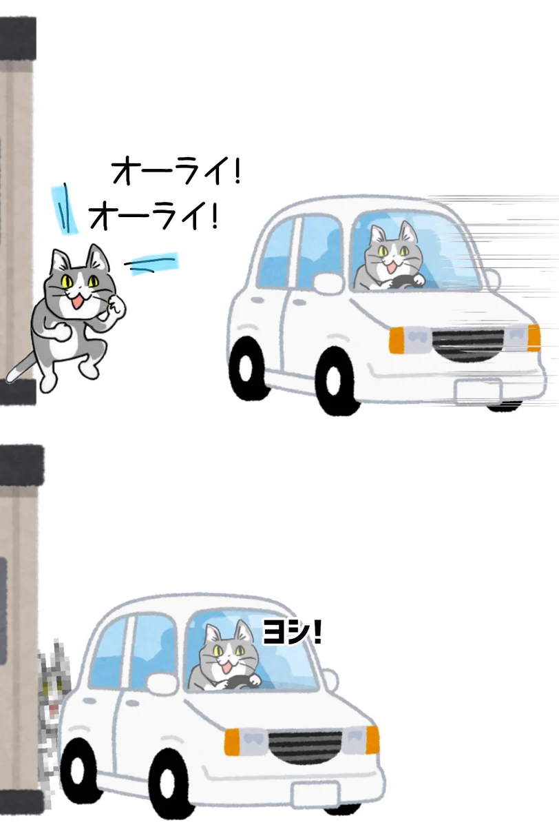 現場猫が犠牲に！！車を誘導するときは気を付けよう！
