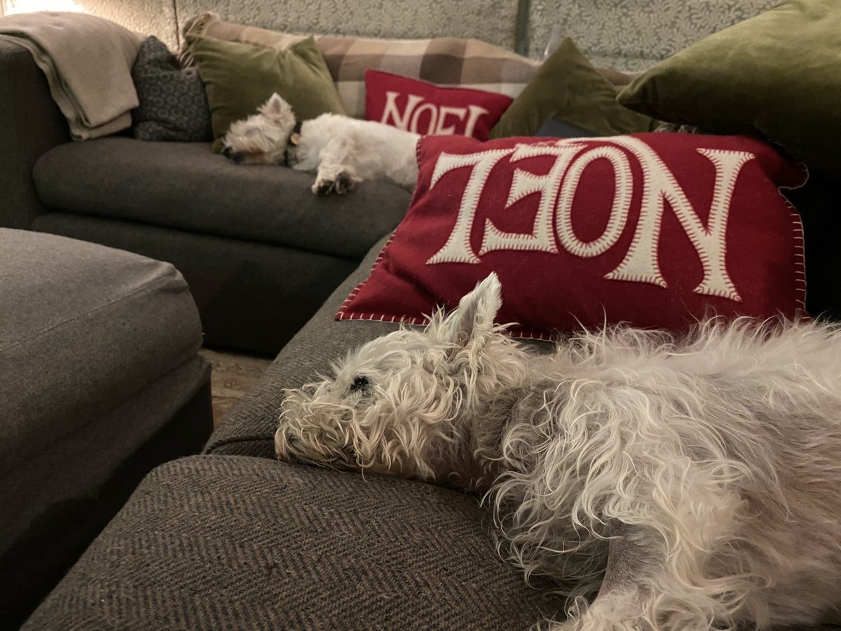 One of the Family tweet media