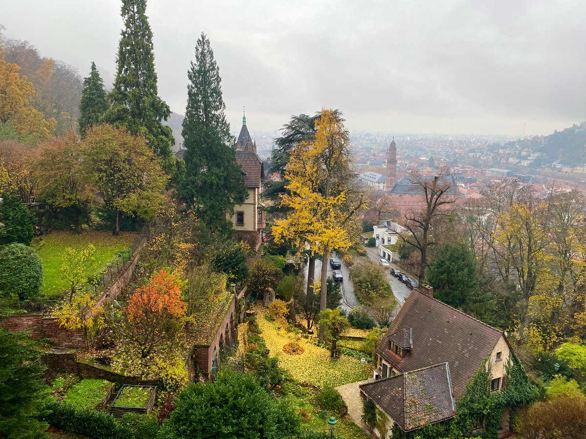 Lisa_HansenSD's tweet photo. Misty day in Heidelberg🍁🍂 https://t.co/1jbolesWo2