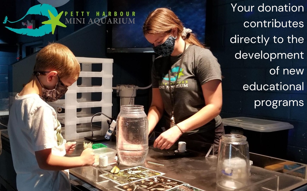 From hands-on learning at the aquarium to outreach presentations around our community, we strive to deliver excellence through our educational programs! These programs would not be possible without your support. 
Please donate by clicking here: miniaqua.org/donors