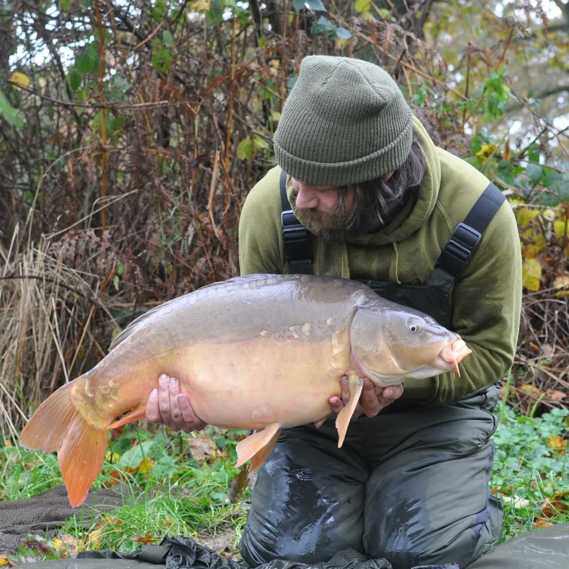 madferrit05's tweet photo. Another productive session down the pond. This time a 48 hour session producing 5 between 24lb and 13lb #carp #carpfishing #carpangler #carplife #carpuk #angling #carpangling #madbaits #banktackle https://t.co/lVtWfaE4ky