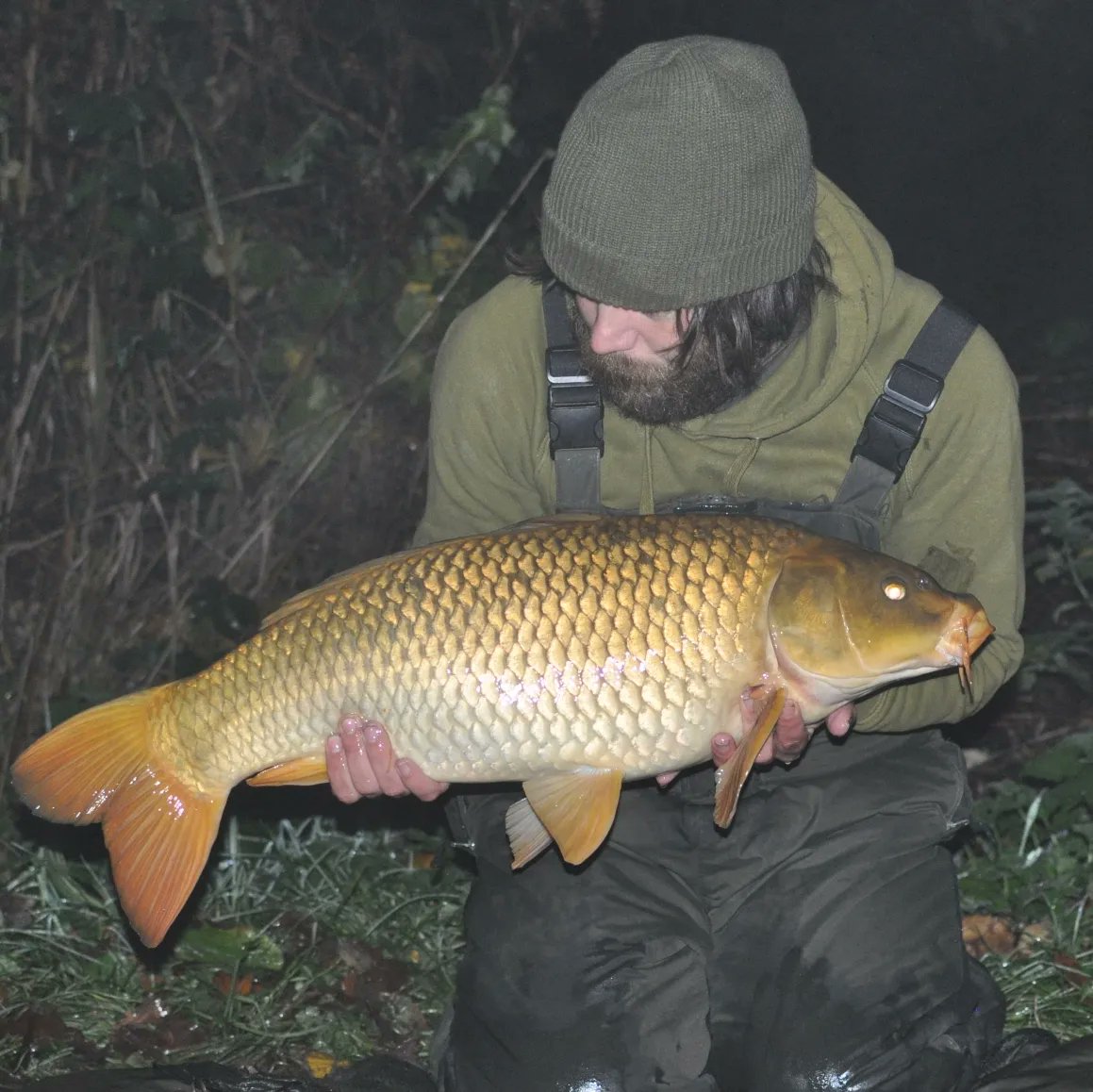 madferrit05's tweet photo. Another productive session down the pond. This time a 48 hour session producing 5 between 24lb and 13lb #carp #carpfishing #carpangler #carplife #carpuk #angling #carpangling #madbaits #banktackle https://t.co/lVtWfaE4ky