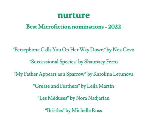 Thrilled to announce our nominees for @bestmicrofic: @covo_noa, @shaunacysays, @k_letunova, @Bookishleels, @NoraNadj, and Michelle Ross. We're delighted to have made a home for their fantastic micros this year!