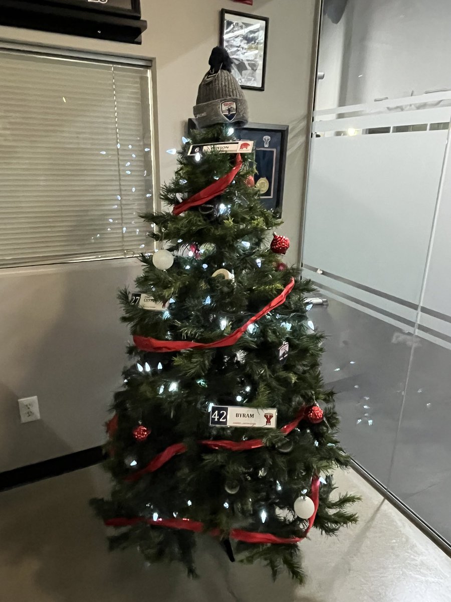 YHA_Lions tweet media