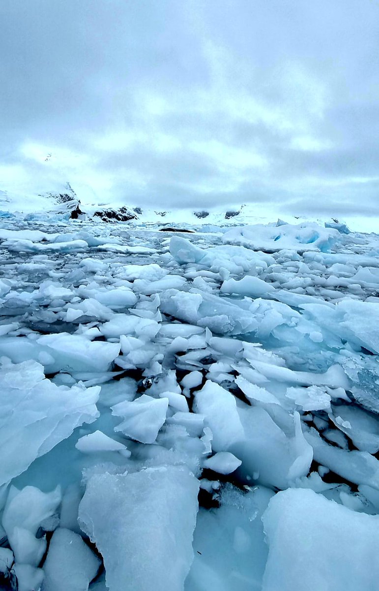 Sarah Knight tweet media