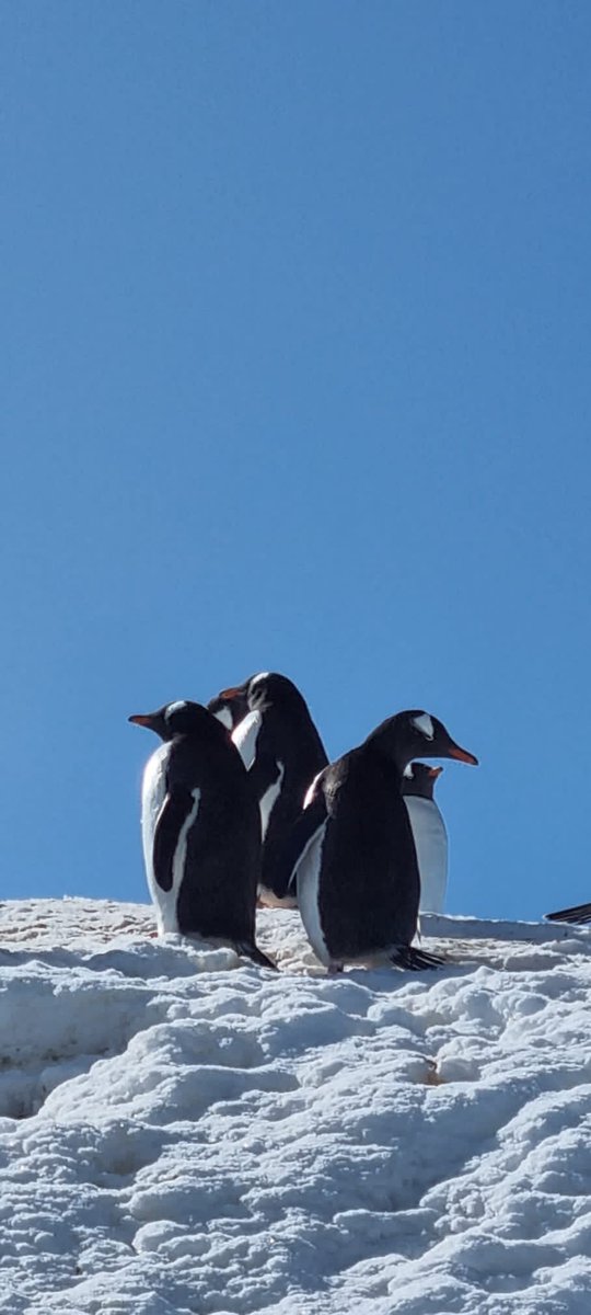 Sarah Knight tweet media