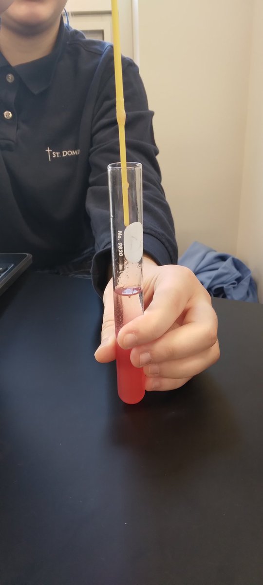 sciencebymrsj's tweet photo. W6 Honors Biology viewing nucleic acids from strawberries! @StDominicHS https://t.co/Eu7F3kqm7i