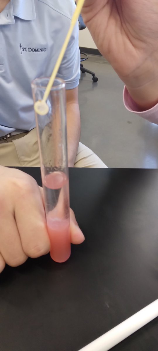 sciencebymrsj's tweet photo. W6 Honors Biology viewing nucleic acids from strawberries! @StDominicHS https://t.co/Eu7F3kqm7i