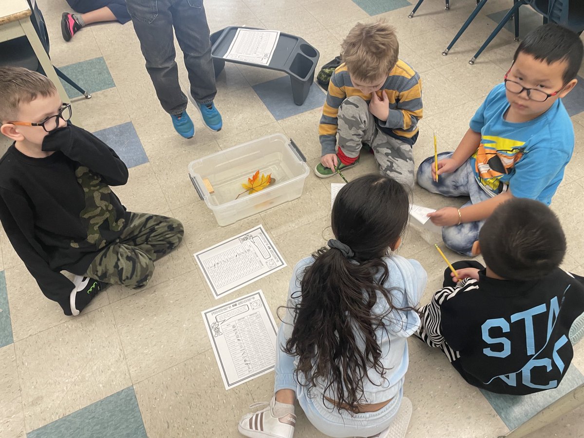 JSMSoderling's tweet photo. We began our boats and buoyancy unit today! We made predictions about various objects whether they sink or float, and then tested them! https://t.co/AVkZFkynEv