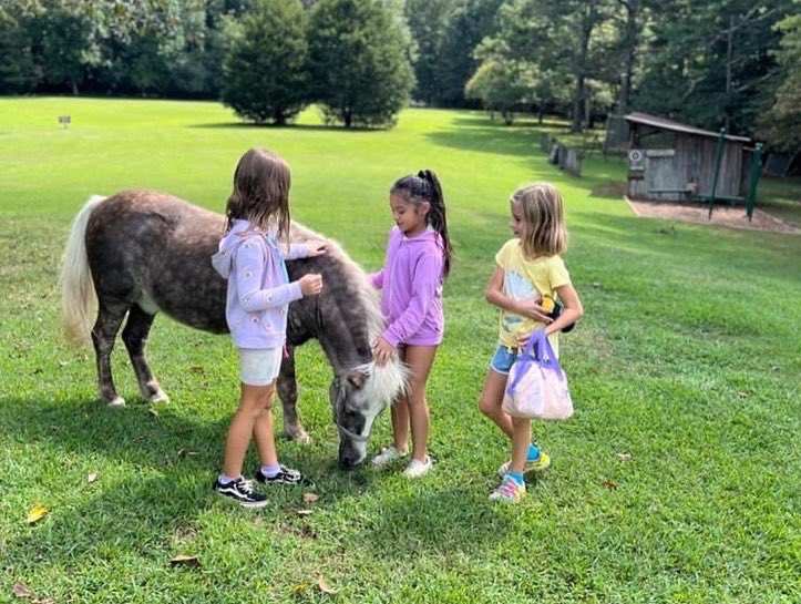 High Meadows School tweet media