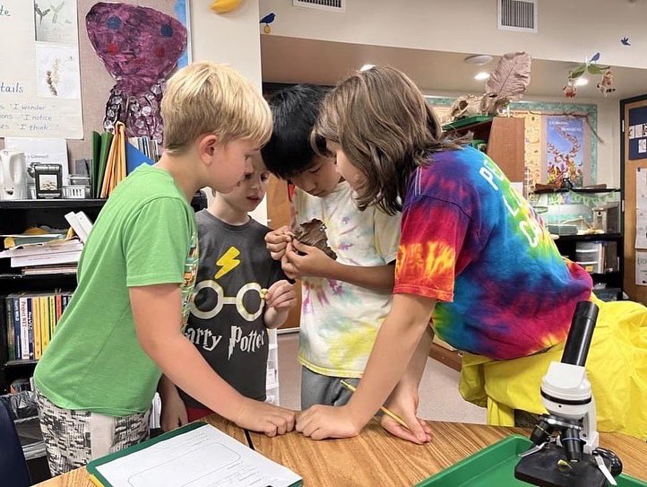 High Meadows School tweet media