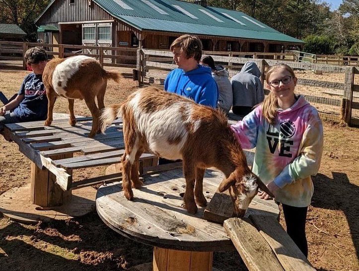 High Meadows School tweet media