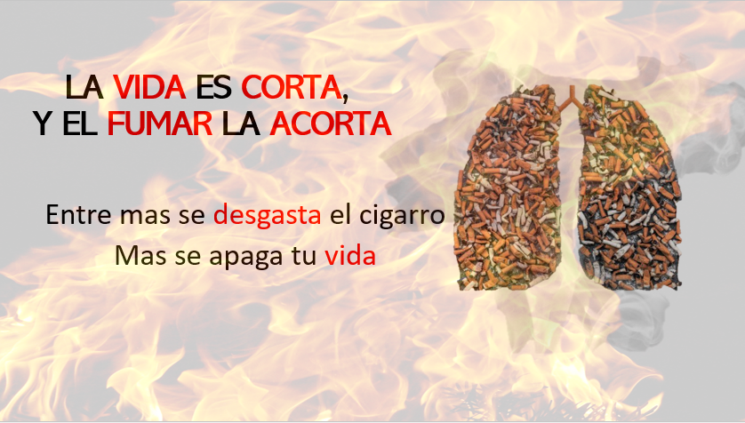 AnaSand1708's tweet photo. #SecMSG #CampañasOficiales #LenguaMatena https://t.co/qmtylqlKy2