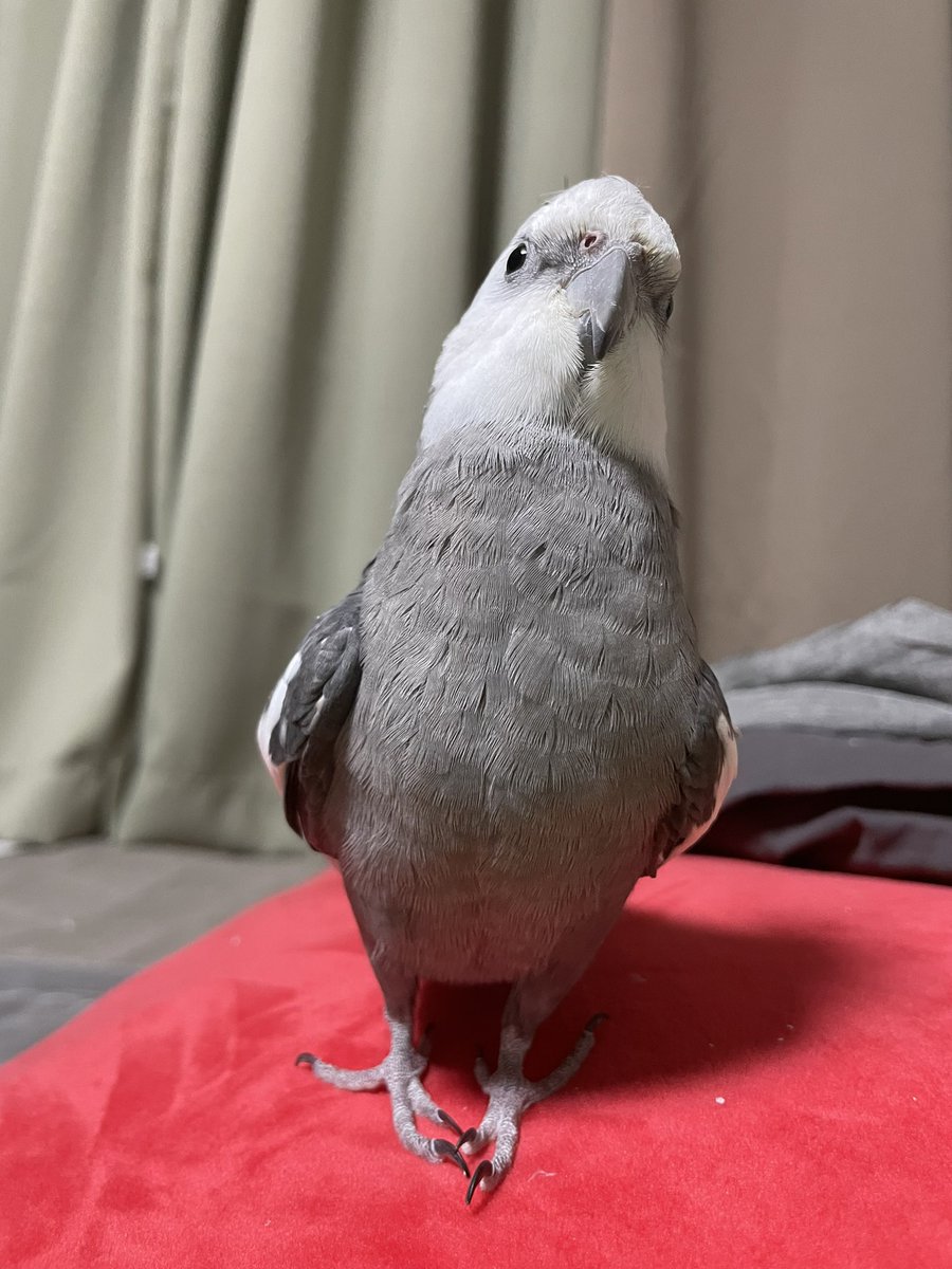 우리 귀여운 먼지먼지