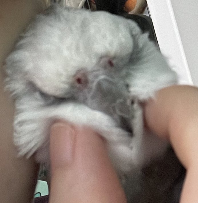 하루에 30분씩 긁어줘야함