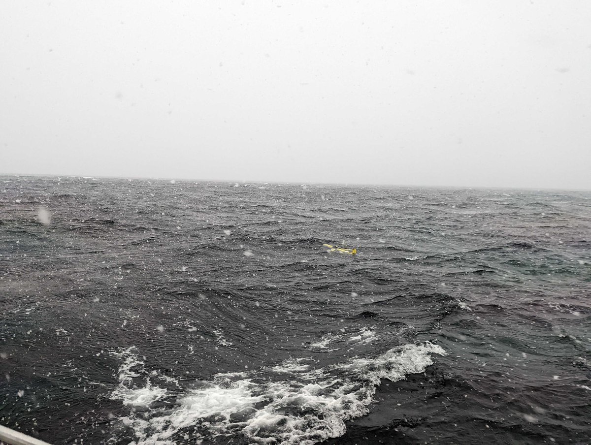 Our ocean glider Marvin heads out from Calvert Island in a snow storm in the name of science! <a href="/HakaiInstitute/">Hakai Institute</a> <a href="/DFO_Pacific/">DFO Pacific</a> <a href="/UVicResearch/">UVic Research</a>